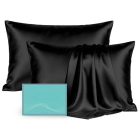 Mulberry Silk Pillowcases 2 Pack, Standard 20x26 Inch Real Silk Covers With Hidden Zipper For Hair And Skin, Black (Option: Black)